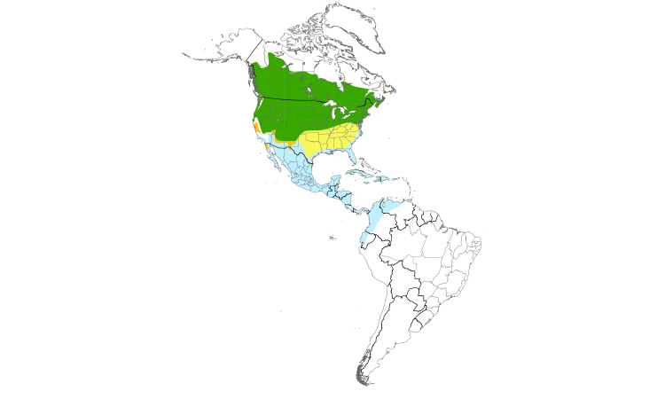 Range Map (Americas): Sora
