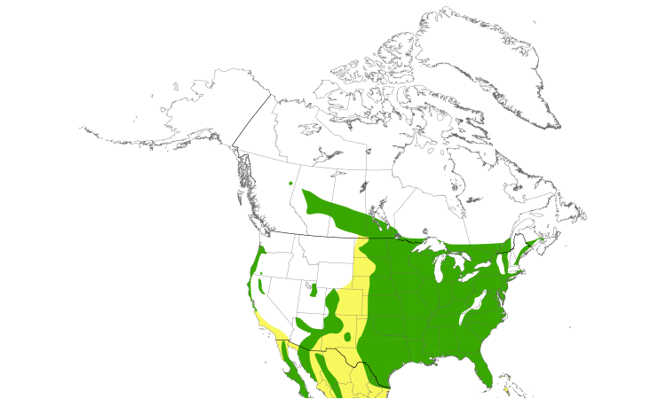 Range Map (North): Purple Martin