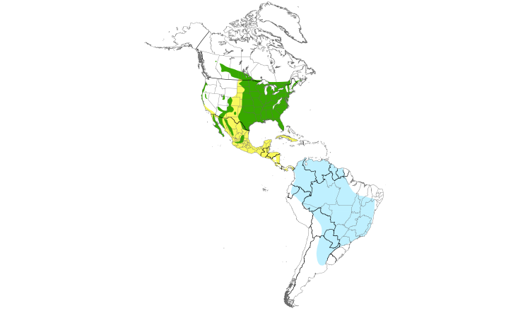 Range Map (Americas): Purple Martin