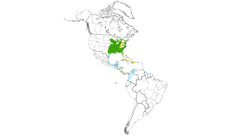 Range Map (Americas): Prothonotary Warbler