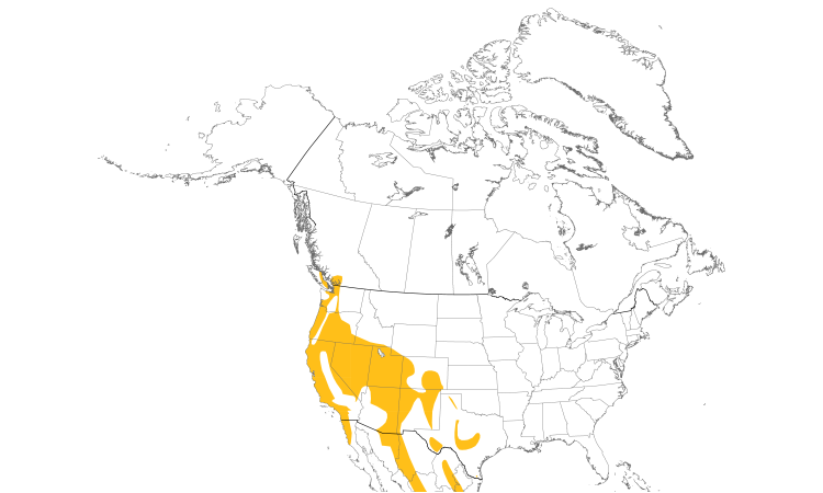 Range Map (North): Bushtit