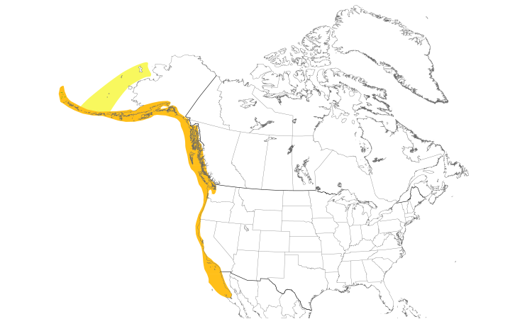 Range Map (North): Cassin's Auklet