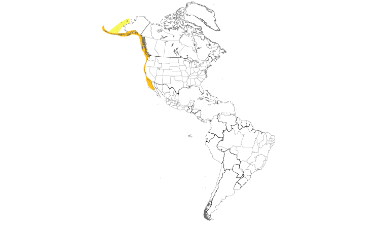 Range Map (Americas): Cassin's Auklet