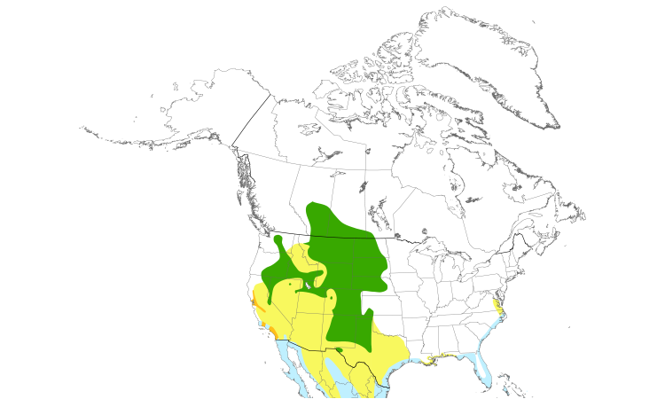 Range Map (North): American Avocet