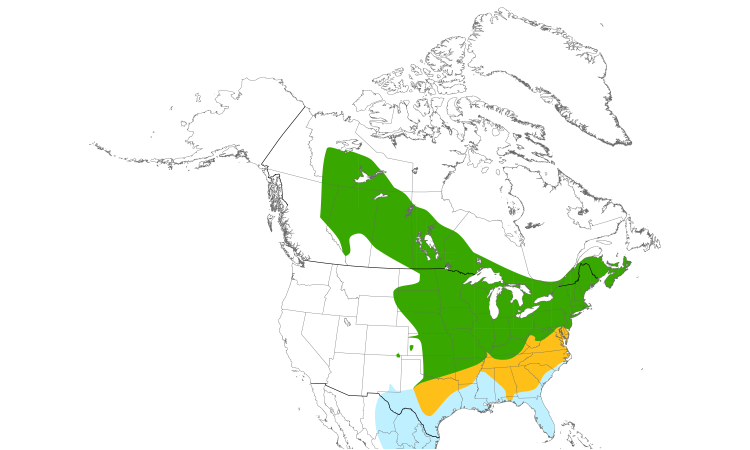 Range Map (North): Eastern Phoebe