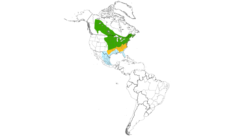 Range Map (Americas): Eastern Phoebe