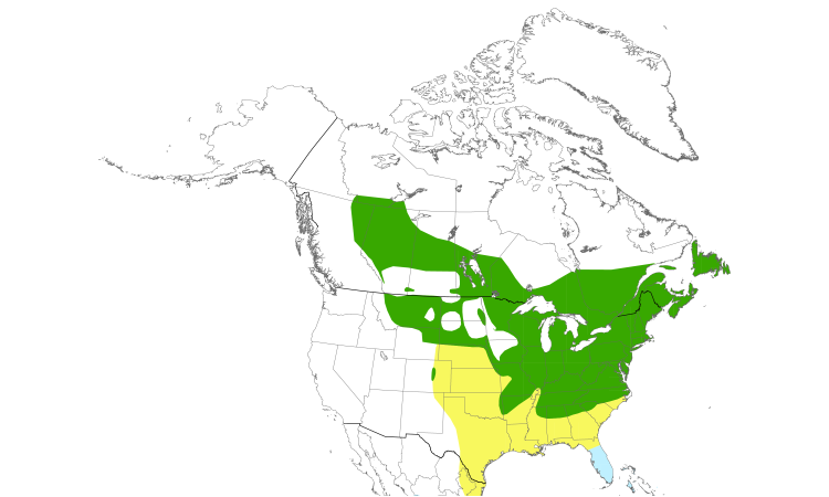 Range Map (North): Ovenbird