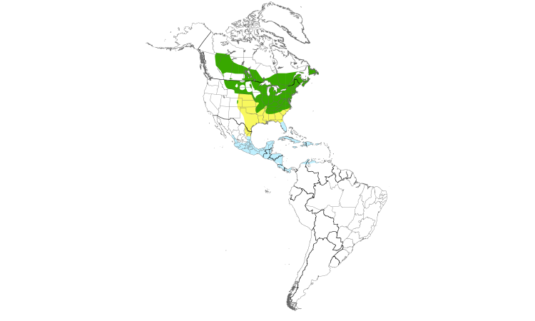 Range Map (Americas): Ovenbird