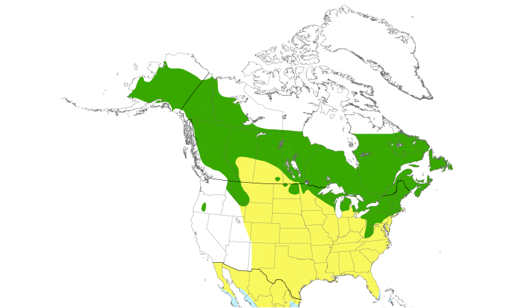 Range Map (North): Northern Waterthrush
