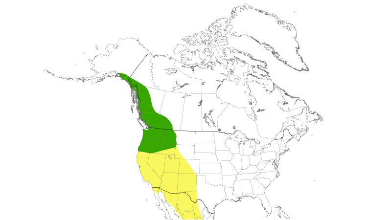 Range Map (North): Rufous Hummingbird