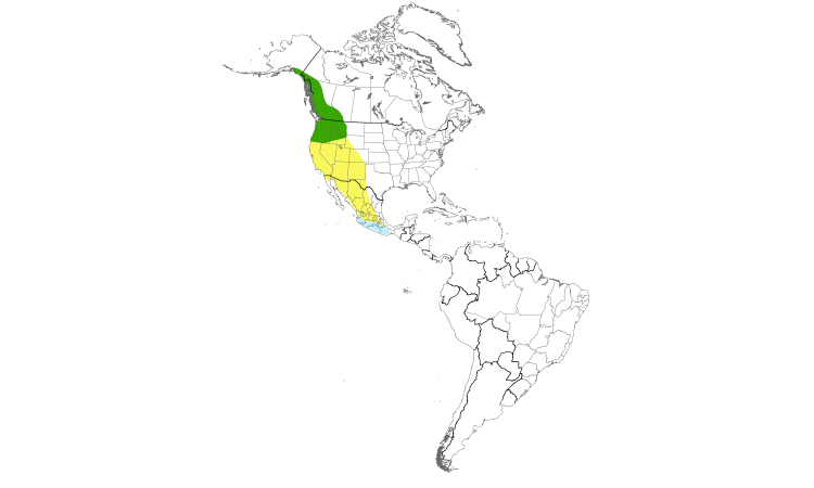 Range Map (Americas): Rufous Hummingbird