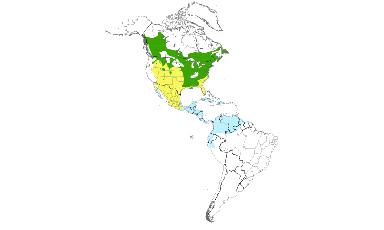 Range Map (Americas): American Redstart