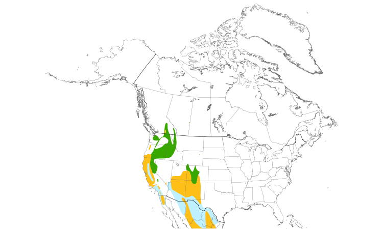 Range Map (North): Western Bluebird