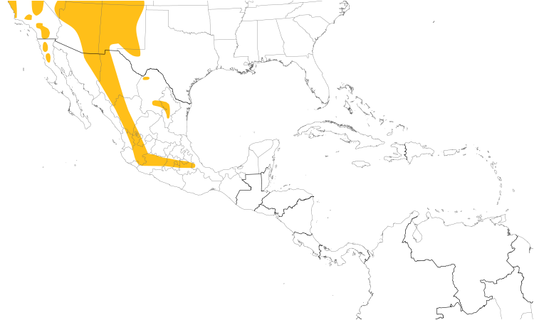Range Map (Central): Pygmy Nuthatch