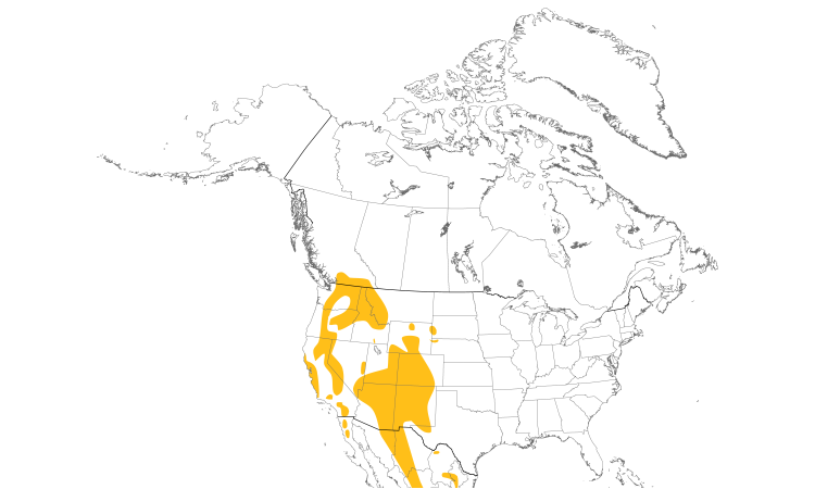 Range Map (North): Pygmy Nuthatch