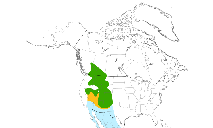 Range Map (North): Red-naped Sapsucker