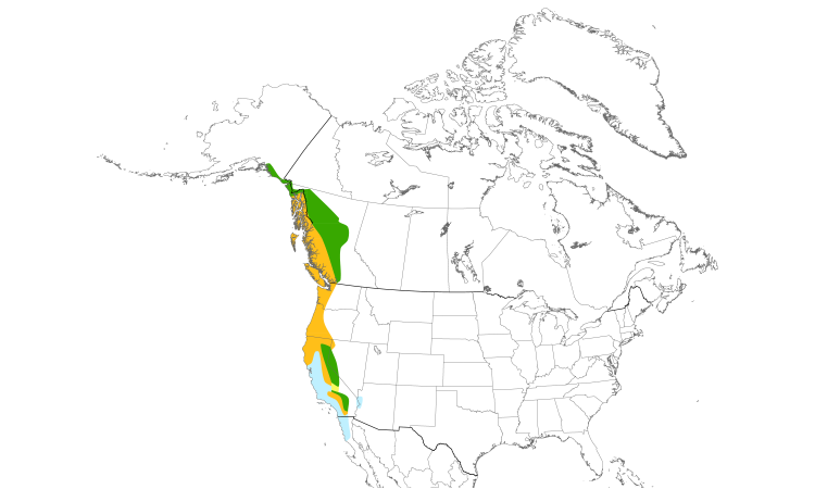 Range Map (North): Red-breasted Sapsucker