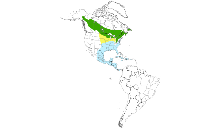 Range Map (Americas): Yellow-bellied Sapsucker