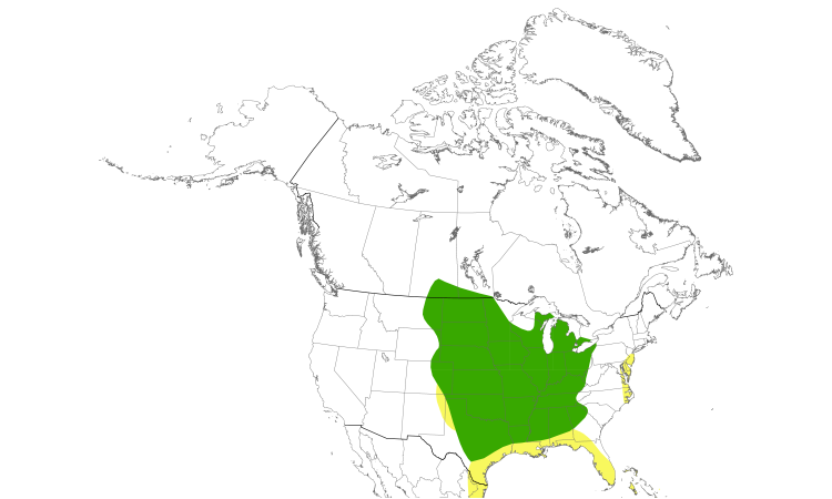 Range Map (North): Dickcissel