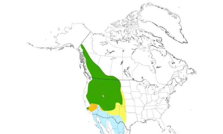 Range Map (North): Brewer's Sparrow
