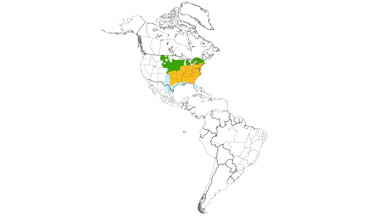 Range Map (Americas): Field Sparrow