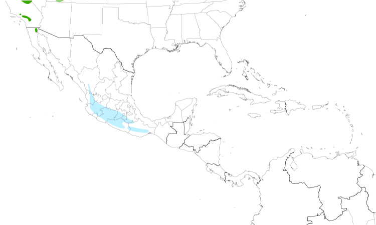 Range Map (Central): Calliope Hummingbird