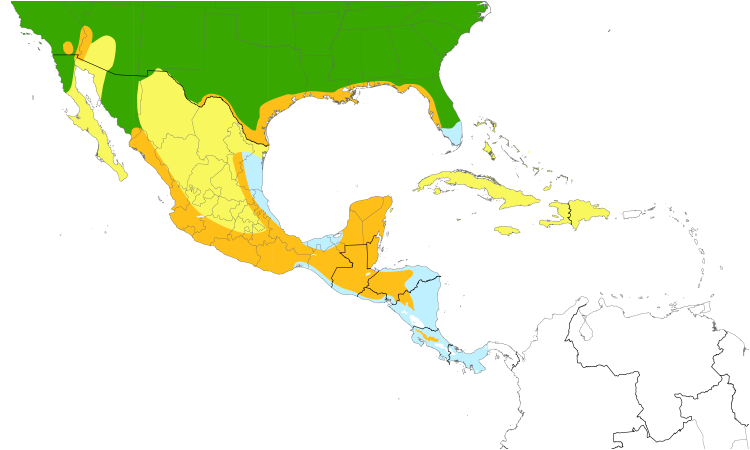 Range Map (Central): Northern Rough-winged Swallow