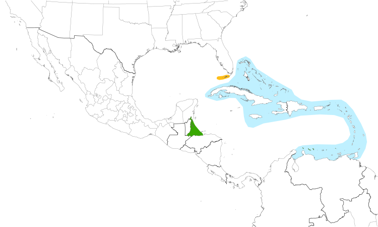 Range Map (Central): Roseate Tern