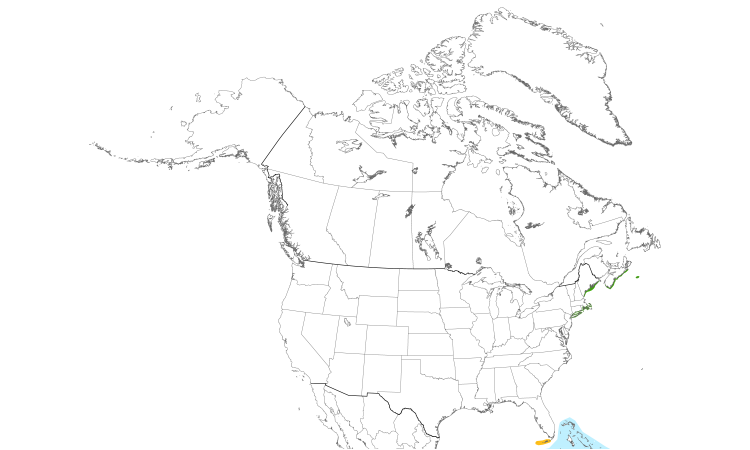 Range Map (North): Roseate Tern
