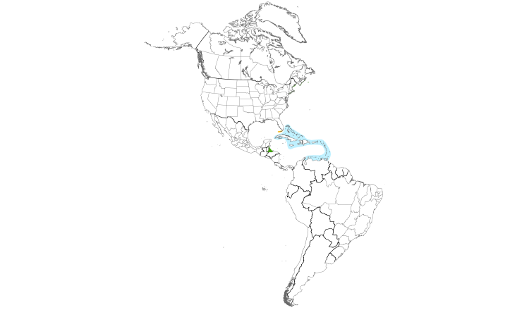 Range Map (Americas): Roseate Tern