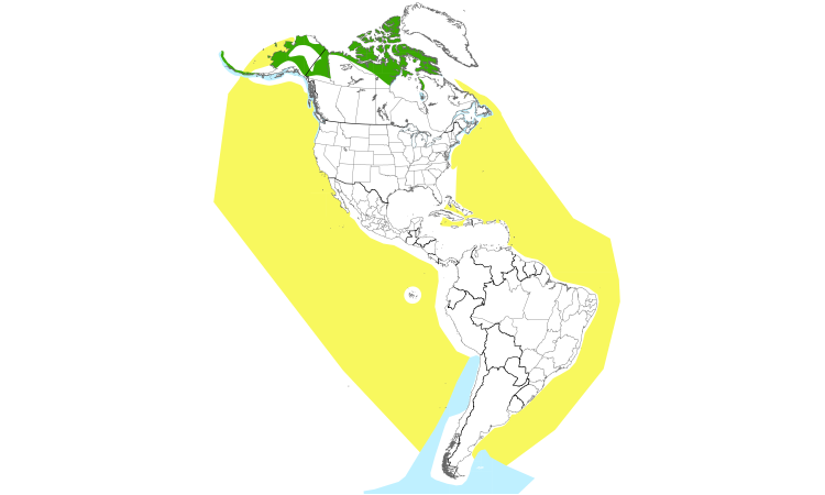 Range Map (Americas): Long-tailed Jaeger