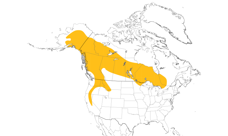 Range Map (North): Great Gray Owl