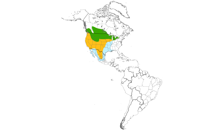 Range Map (Americas): Western Meadowlark