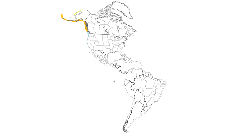 Range Map (Americas): Ancient Murrelet