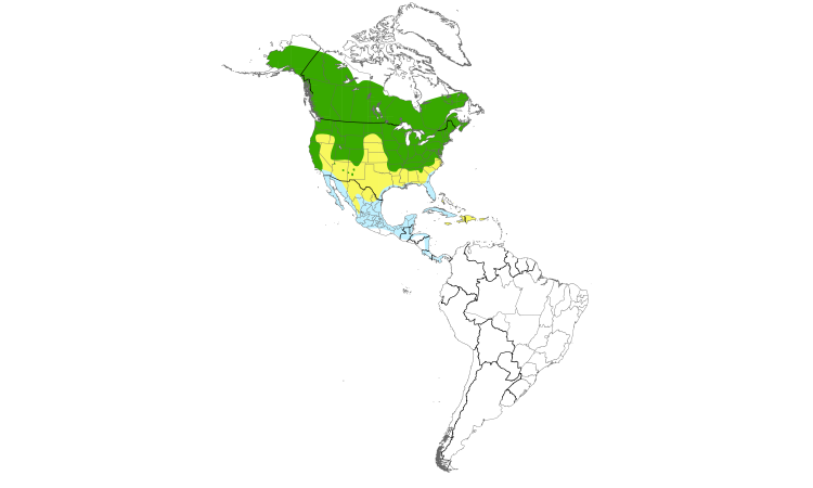 Range Map (Americas): Tree Swallow
