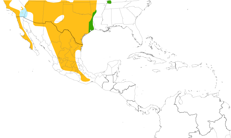 Range Map (Central): Bewick's Wren
