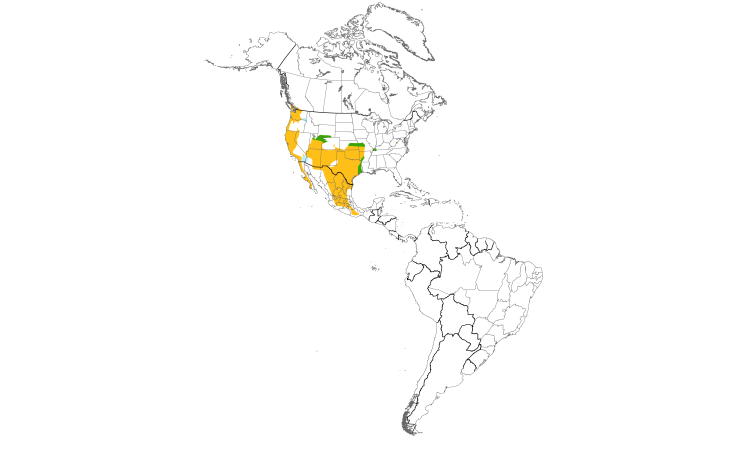 Range Map (Americas): Bewick's Wren