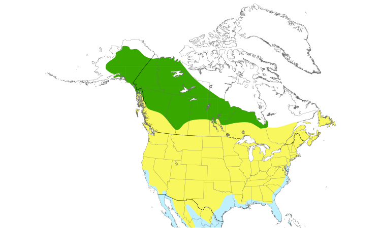 Range Map (North): Lesser Yellowlegs