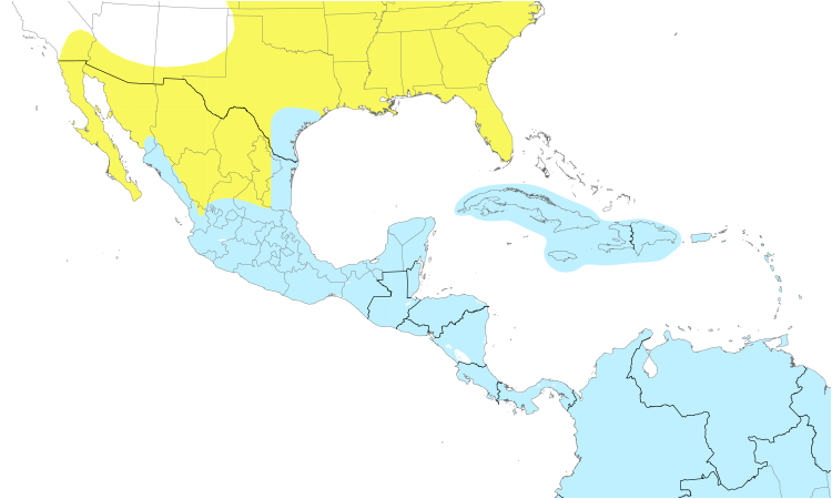 Range Map (Central): Solitary Sandpiper