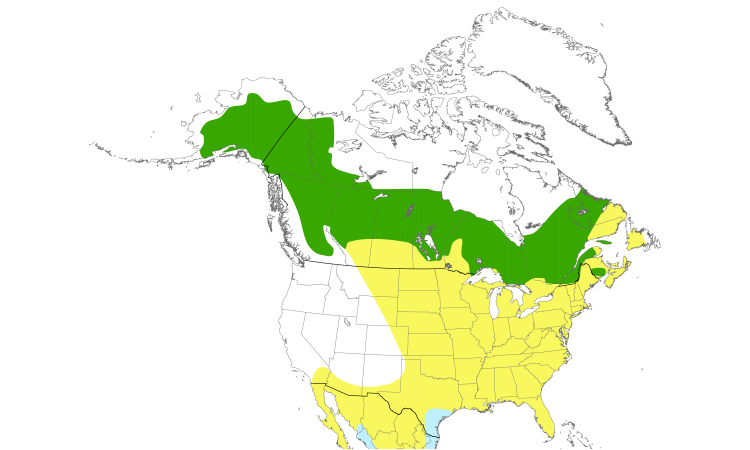 Range Map (North): Solitary Sandpiper