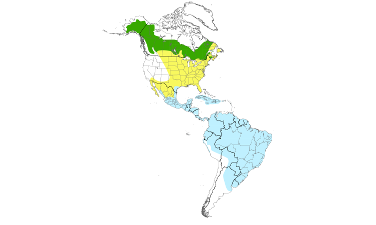 Range Map (Americas): Solitary Sandpiper