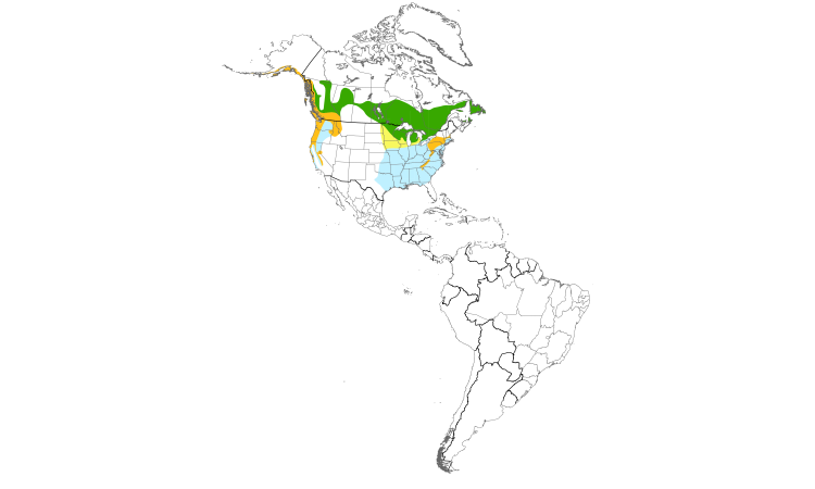Range Map (Americas): Winter Wren