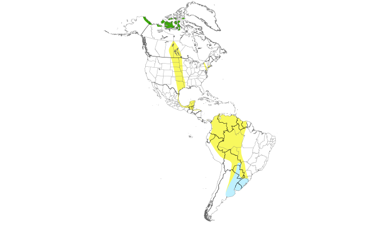 Range Map (Americas): Buff-breasted Sandpiper