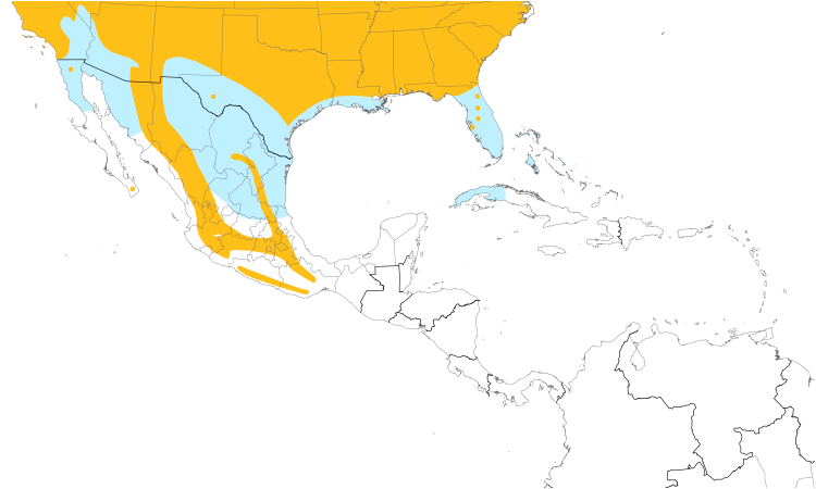 Range Map (Central): American Robin