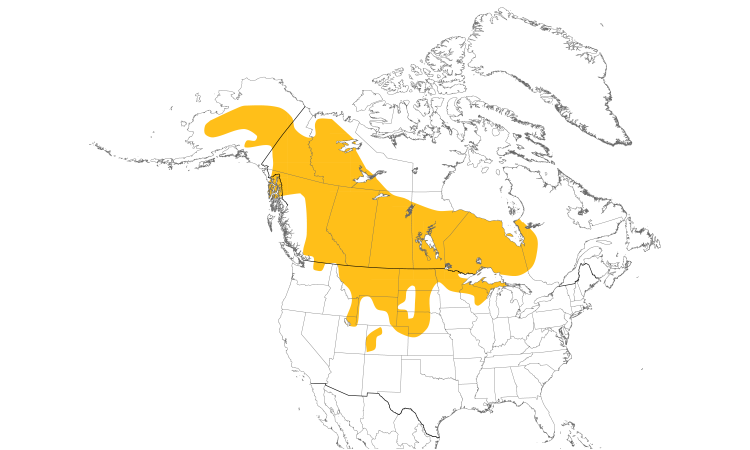 Range Map (North): Sharp-tailed Grouse