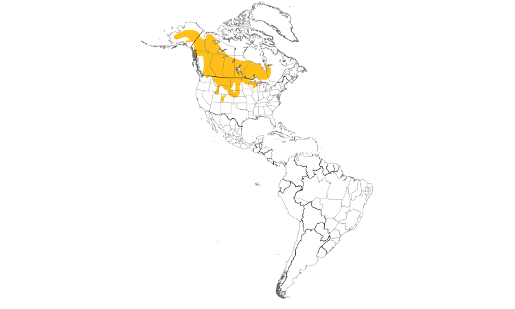 Range Map (Americas): Sharp-tailed Grouse
