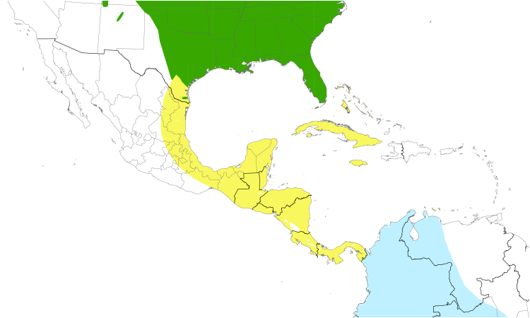 Range Map (Central): Eastern Kingbird