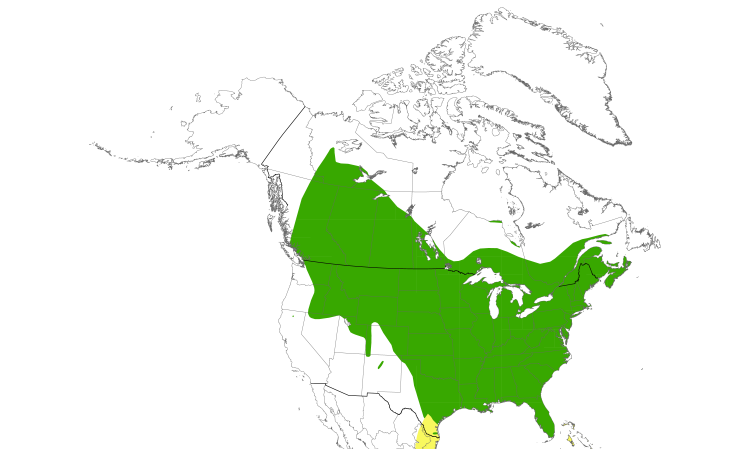 Range Map (North): Eastern Kingbird
