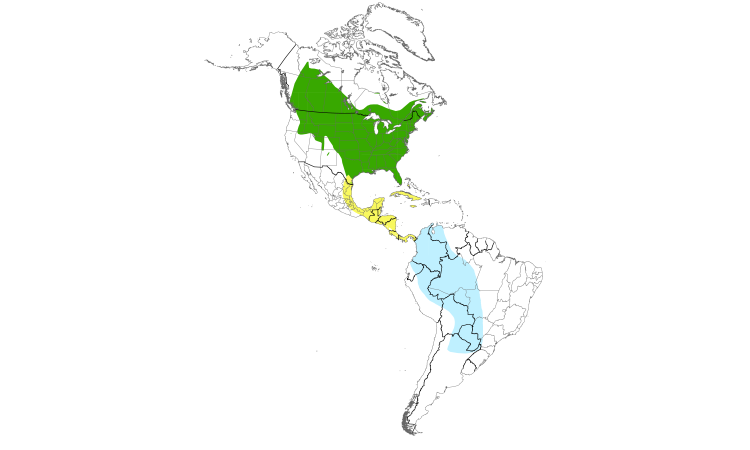 Range Map (Americas): Eastern Kingbird