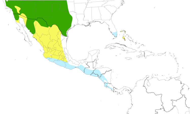Range Map (Central): Western Kingbird
